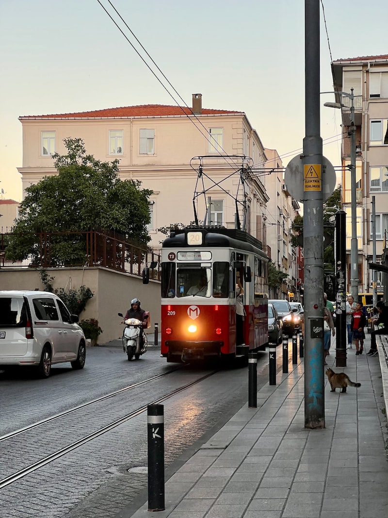 Moda Tasarımında Dikiş Teknikleri Moda Tasarımında Dikiş Teknikleri